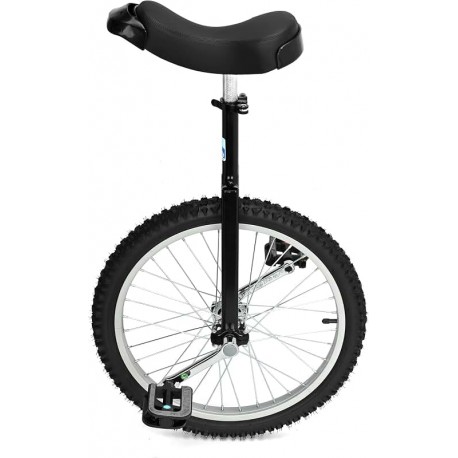 Уницикл BME 20" черный